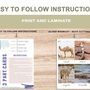 Desert Animals • Printable Flash Cards • 3 Part Cards • Montessori ...
