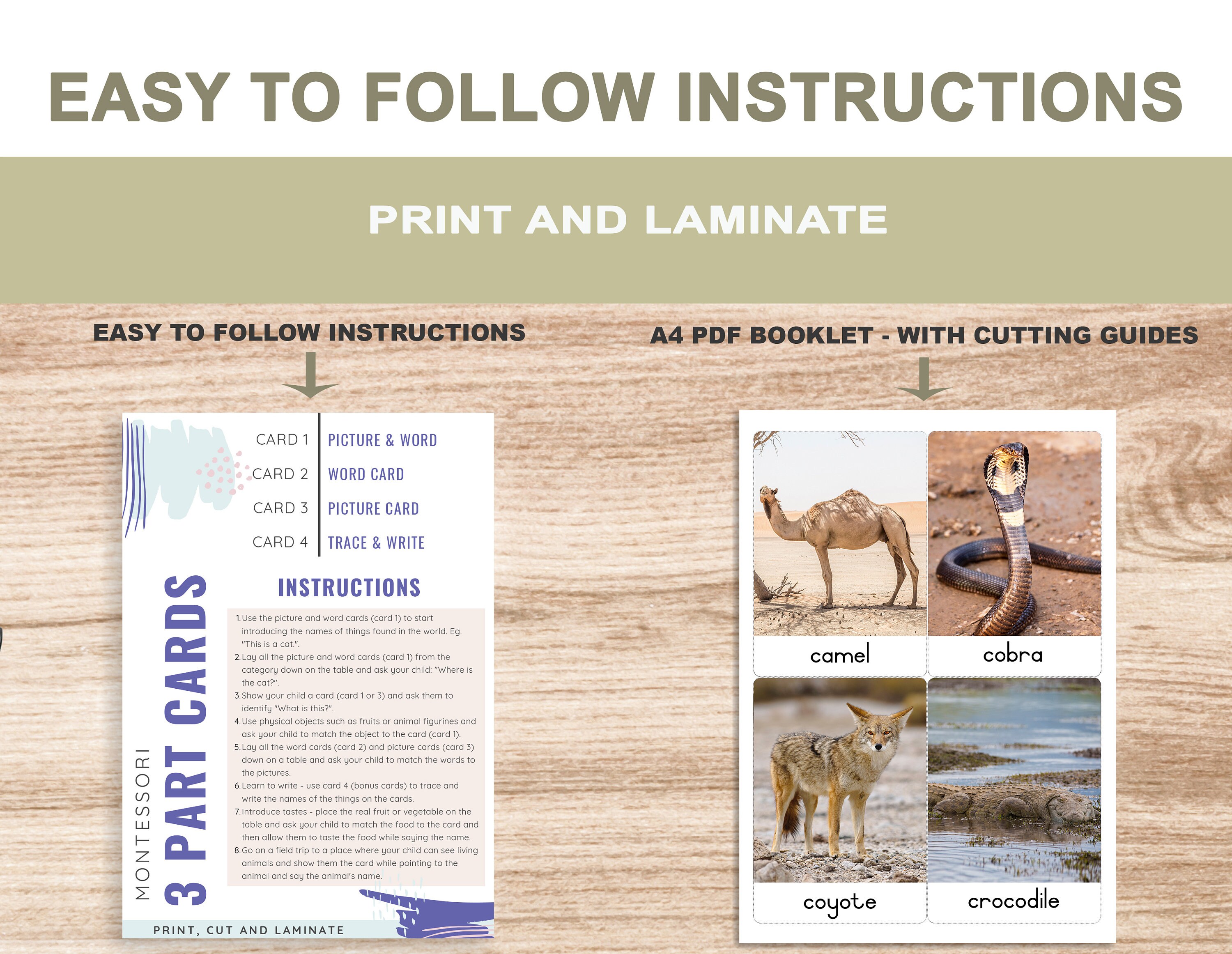Desert Animals • Printable Flash Cards • 3 Part Cards • Montessori