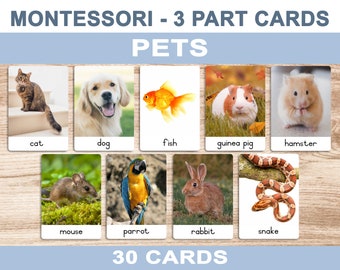 Pets • Printable Flash Cards • 3 Part Cards • Montessori Cards • BONUS Letter Tracing