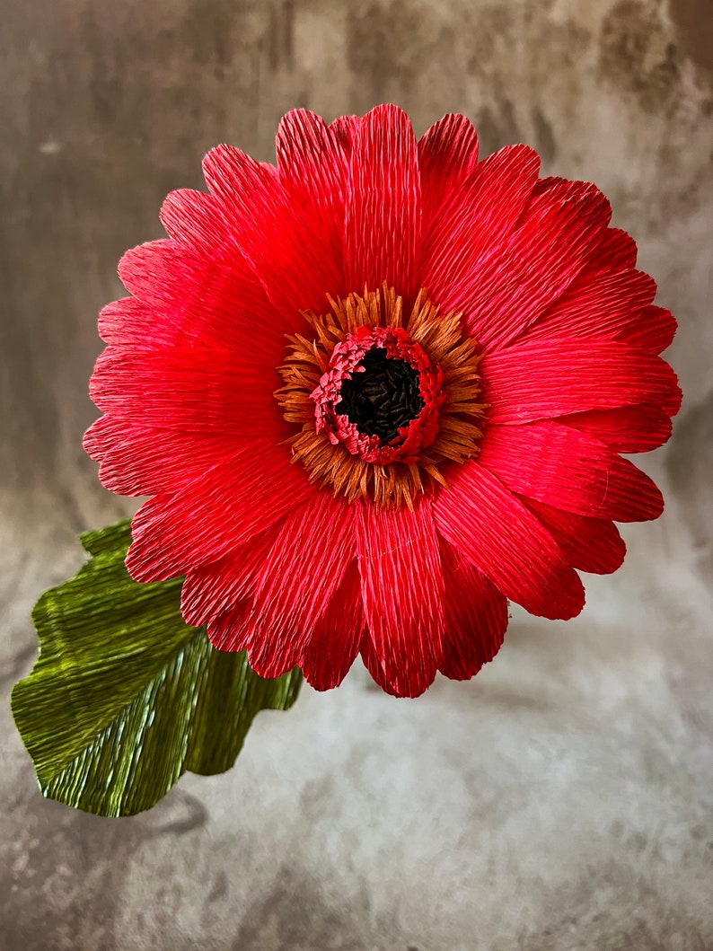 Crepe Paper Gerbera Daisy Etsy