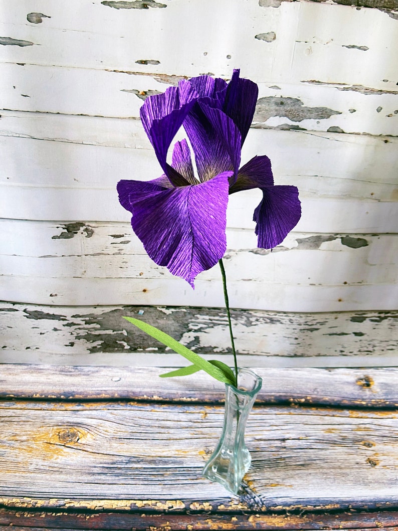Crepe Paper Iris Etsy