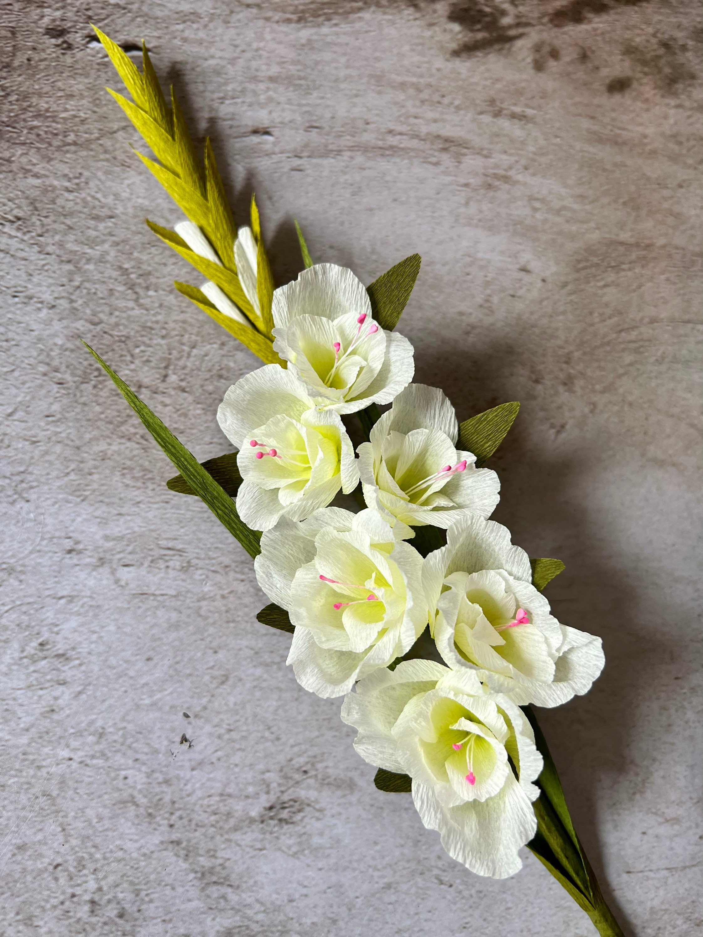 Crepe Paper Gladiolus Etsy