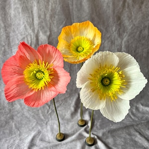 Crepe Paper Icelandic Poppy *NEW DESIGN*