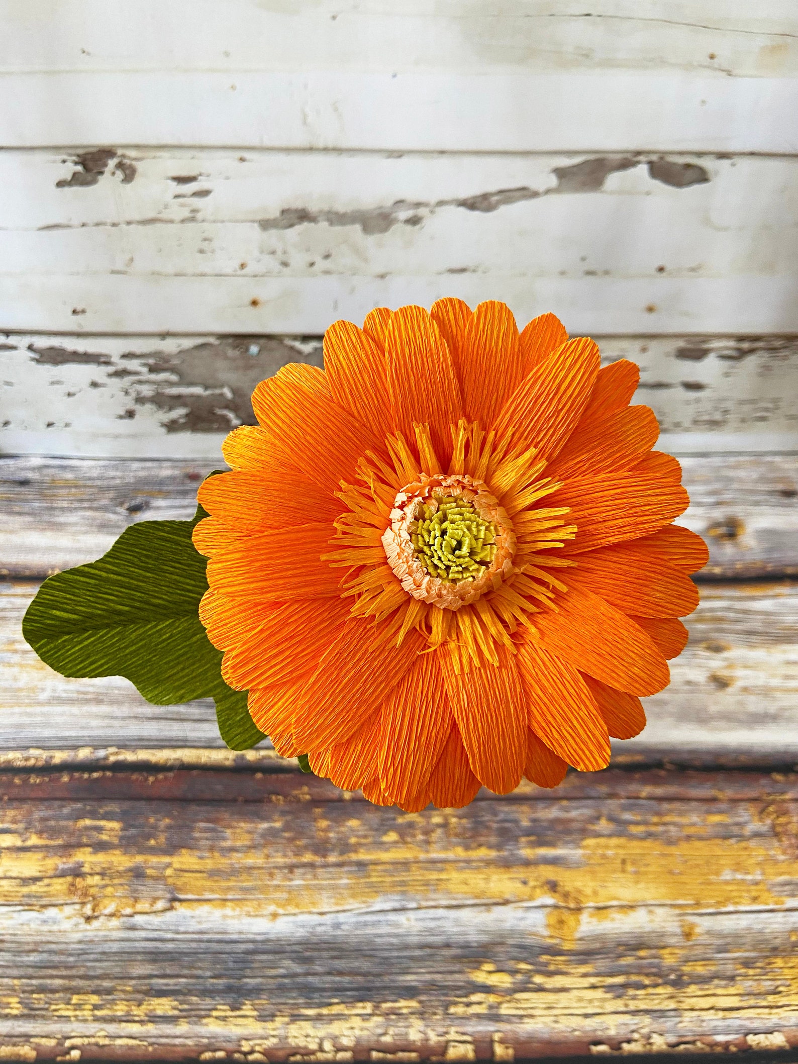 Crepe Paper Gerbera Daisy Etsy