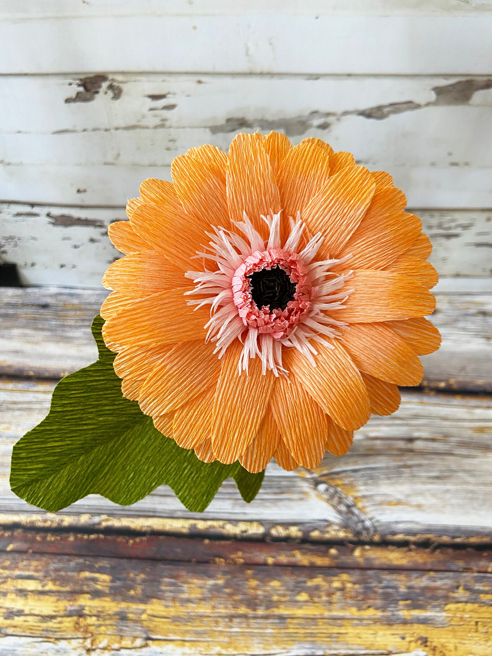 Crepe Paper Gerbera Daisy Etsy