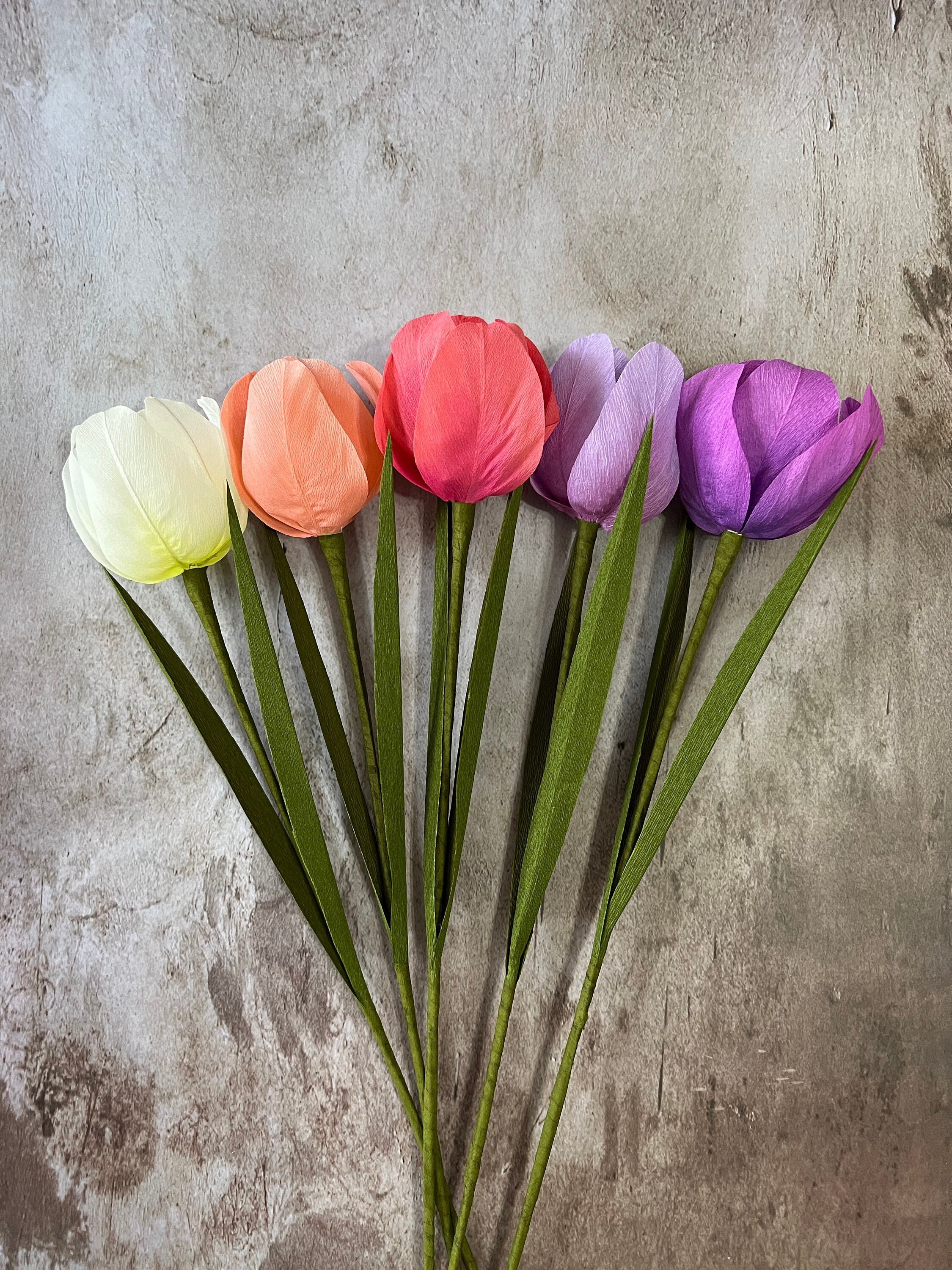 Crepe Paper Tulip Etsy