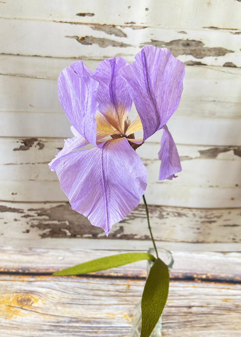 Crepe Paper Iris Etsy