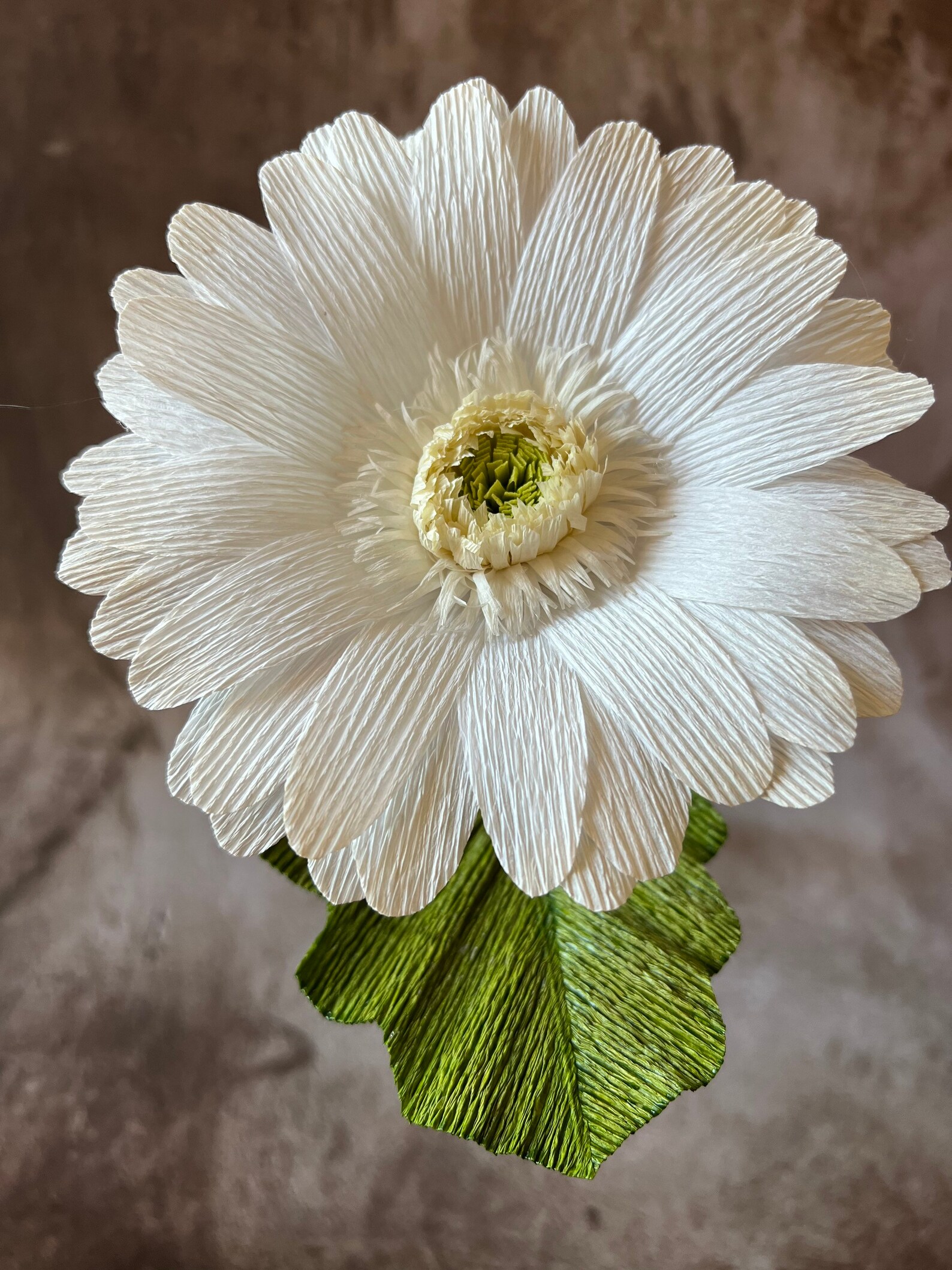 Crepe Paper Gerbera Daisy Etsy