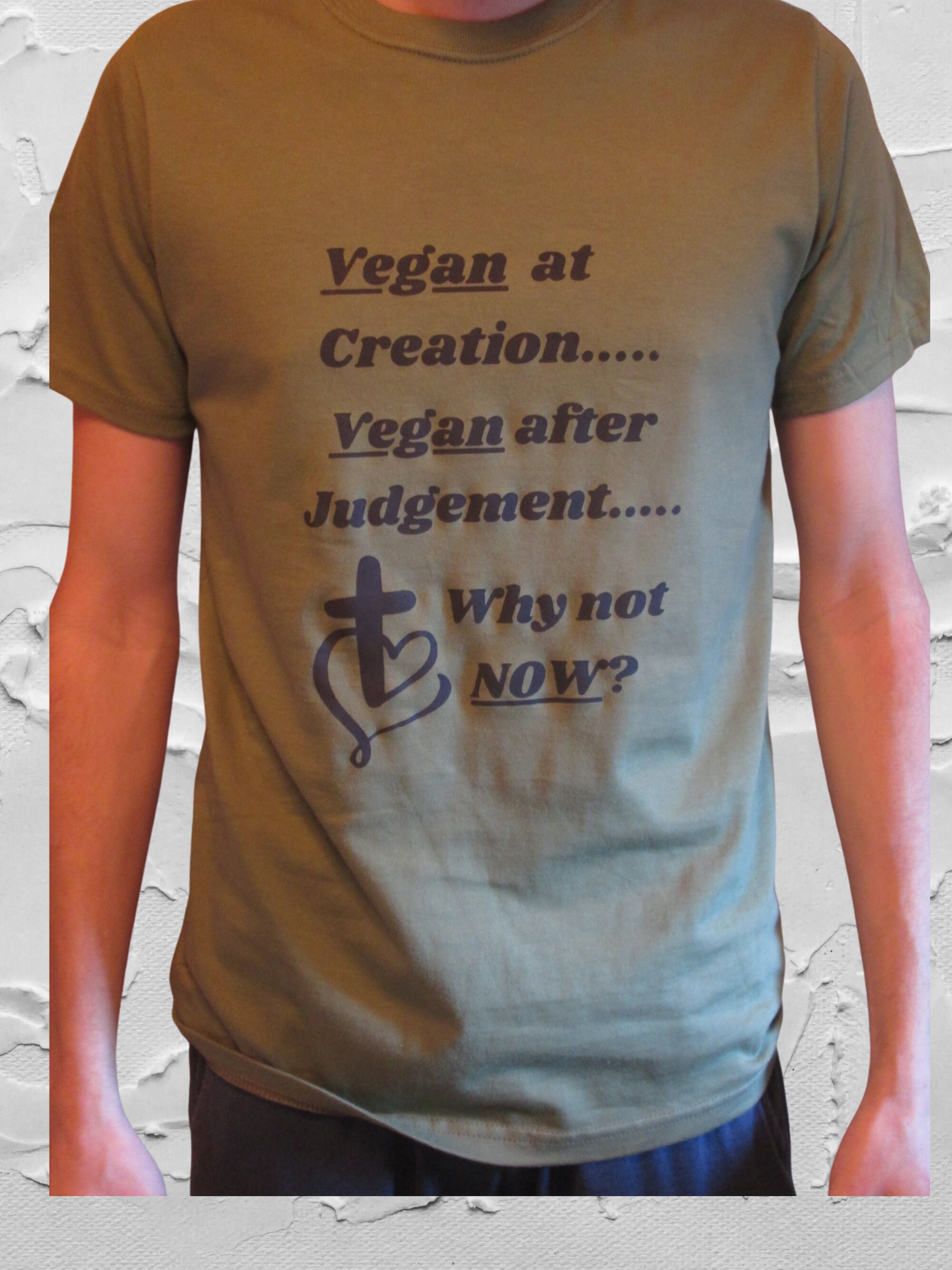 Why Not Vegan Now 100 Organic Cotton Vegan TShirt Men Etsy