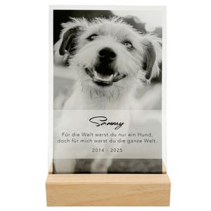 Könnte beinhalten: Ein Schwarzweißfoto eines Hundes mit dem Namen Sammy in Kursivschrift. Das Foto befindet sich in einem klaren Acrylrahmen mit einem Holzsockel. Der Text unter dem Foto lautet: "Für die Welt warst du nur ein Hund, aber für mich warst du die ganze Welt. 2014 - 2025."