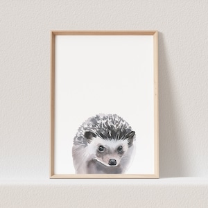 Kinderzimmer Poster Igel Baby Waldtiere Tiere Babyzimmer Bild Geschenk (OHNE RAHMEN)