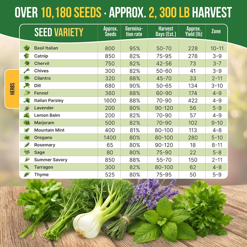 a variety of herbs, including basil, catnip, chives, chives, catkin, dill, Italian parsley, lemon balm, marjoram, mountain mint, rosemary, and thyme, along with their respective seed varieties and approximate harvest days.