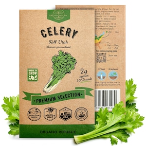 Tall Utah Celery Seeds Pack 2G - Over 4,050 Non GMO Heirloom Celery Seeds for Planting Vegetables in Individual Seed Packet, Vegetable Seeds