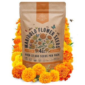 Marigold Seeds Pack 4 oz – 37,000+ Non-GMO Heirloom Marigold Flower Seeds for Indoor Outdoor Gardening, Easy Planting in Garden or Pots