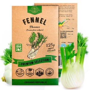 Fennel Florence Seeds Pack 1.25 G - Over 360 Non GMO Heirloom Fennel Seeds for Planting Herbs in Individual Seed Packet for Planting