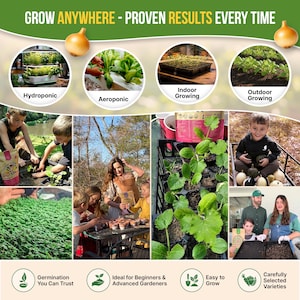 The image is a collage of various images showcasing different methods of growing plants, including hydroponic, aeroponic, indoor growing, outdoor growing, and germination. The collage highlights the versatility and convenience of these growing techniques, as well as their suitability for beginners and advanced gardeners.