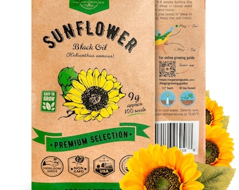 Black Oil Sunflower Seeds: 100+ Non GMO Heirloom Seeds