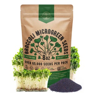Broccoli Sprouting & Microgreens Seeds - 65,000 Non GMO Heirloom Seeds, Sprouts in Bulk 8oz Resealable Bag for Planting and Growing