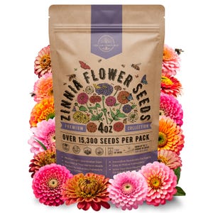 Wildflower Seed Bulk - Etsy