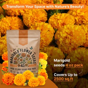 a bag of flowers with the words transform your space with nature's beauty