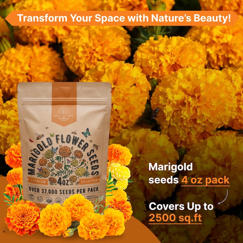 a bag of flowers with the words transform your space with nature's beauty