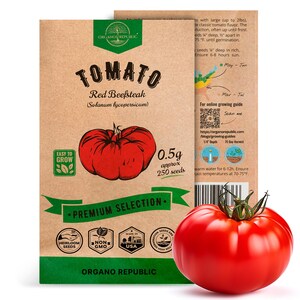 May include: A brown paper packet of Red Beefsteak tomato seeds. The packet features a drawing of a red tomato and the text "TOMATO Red Beefsteak (Solanum lycopersicum)". The packet also includes the text "EASY TO GROW", "0.5g approx 250 seeds", "PREMIUM SELECTION", "HEIRLOOM SEEDS", "NON GMO", "MADE IN USA", and "ORGANO REPUBLIC". A large red tomato is shown in the foreground.