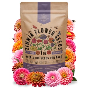 May include: A brown paper bag of Zinnia flower seeds, surrounded by vibrant pink, orange, and yellow flowers. The bag features the text "Zinnia Flower Seeds" and "Over 3,800 Seeds Per Pack."