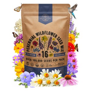 16 Perennial Wildflower Seeds Mix for Indoor & Outdoors. 100,000+ Non GMO, Heirloom Wildflower Garden Seeds
