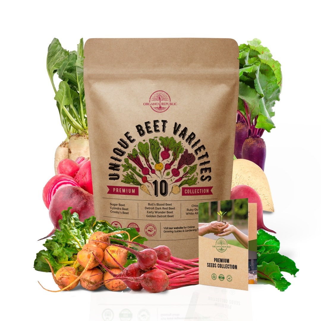 Organo Republic 10 Rare Beet Seeds Variety Pack for Planting Indoor ...