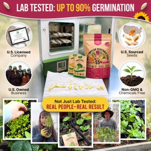 The image is a collage of various images related to the topic of germination, including seeds, plants, and people involved in gardening or agriculture.