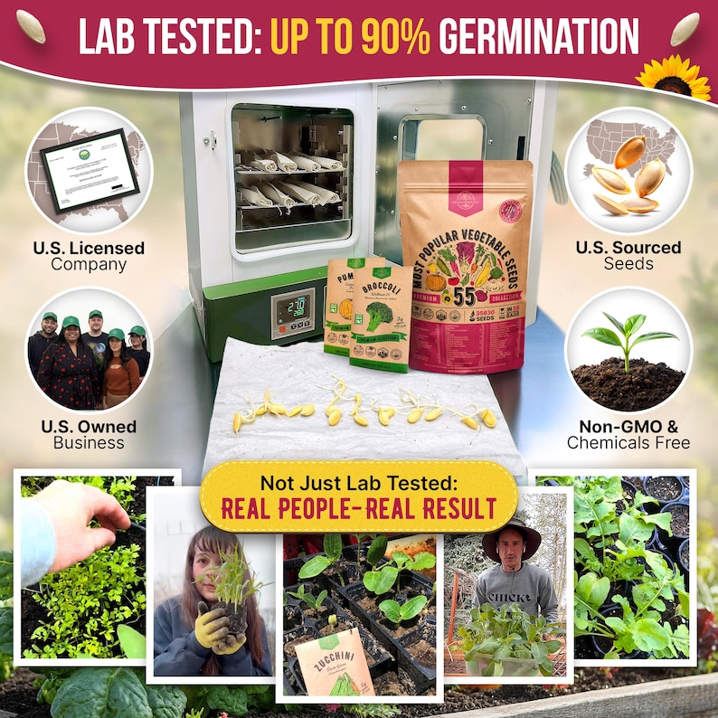 The image is a collage of various images related to the topic of germination, including seeds, plants, and people involved in gardening or agriculture.