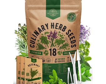 18 Culinary Herbs Seeds Variety Pack - 10,180+ Heirloom, Non GMO, Herbs Seeds for Outdoor and Indoor Home Gardening