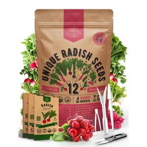 12 Unique Radish Seeds Variety Pack for Indoor & Outdoors 4080+ Heirloom Non GMO Radish Garden Seeds