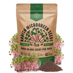 Radish Sprouting & Microgreens Seeds - Non GMO, Heirloom Sprout Seeds Kit, 1lb Resealable Bag for and Growing Microgreens in Soil