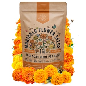 Marigold Seeds Pack 1 oz – 9,250+ Non-GMO Heirloom Marigold Flower Seeds for Indoor Outdoor Planting, Garden Blooms in Individual Packet