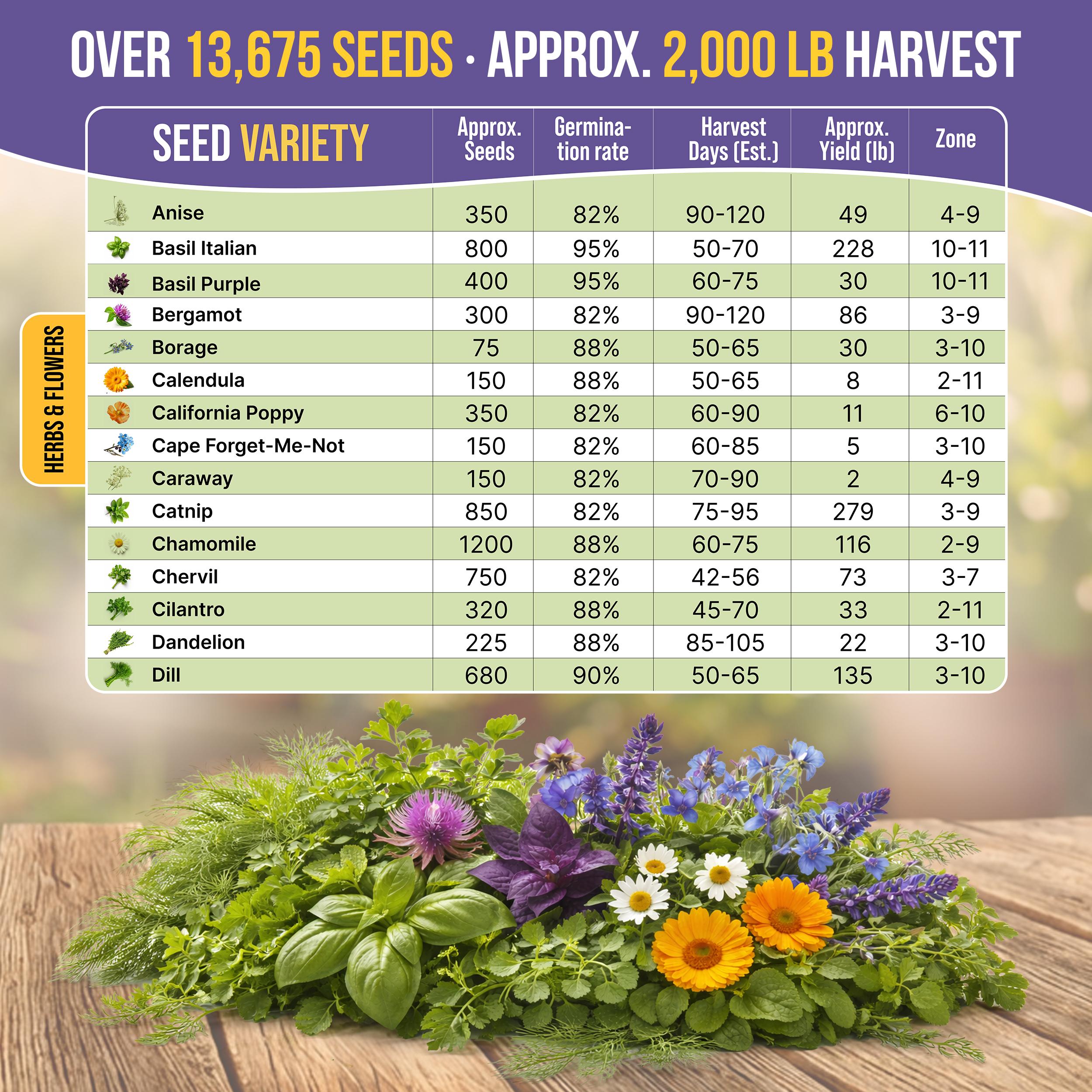 30 Medicinal Tea Herb & Flower Seeds Variety Pack - 13600+ Non GMO ...