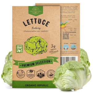 Lettuce Iceberg Seeds Pack 3G - Over 3,100 Non GMO Heirloom Lettuce Seeds for Planting Greens in Individual Seed Packet, Greens Seeds