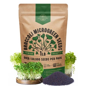 Broccoli Microgreen Seeds: Non GMO Heirloom Sprouting Seeds, 1lb