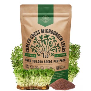 Cress Sprouting & Microgreens Seed - 360,000 Non GMO Heirloom Seeds, Sprouts in Bulk 1lb Resealable Bag for Planting and Growing Microgreens