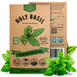 Holy Basil Seeds Pack 0.5 G - Over 1,400 Non GMO Heirloom Basil Seeds for Planting Herbs in Individual Seed Packet, Herbs Seeds for Planting
