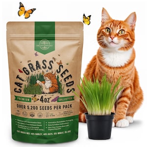 May include: A bag of cat grass seeds with a cat illustration, a pot of green cat grass, and a ginger cat. The bag reads "Cat Grass Seeds" and "Over 5,200 Seeds Per Pack". The cat is sitting next to the grass.