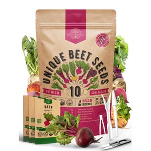 10 Unique Beet Seeds Variety Pack for Planting Indoor & Outdoors 1625+ Heirloom Non GMO Bulk Beets Gardening Seeds