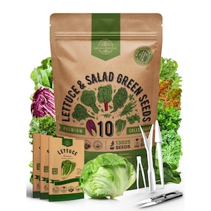 10 Lettuce & Salad Green Seeds Variety Pack 13,000+ Non GMO Heirloom Lettuce Seeds for Planting Indoors and Outdoors Garden, Hydroponics