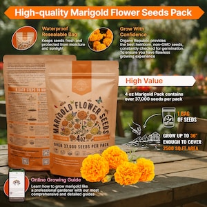 a bag of high - quality mango flower seeds