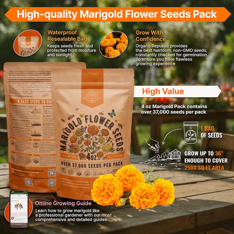 a bag of high - quality mango flower seeds