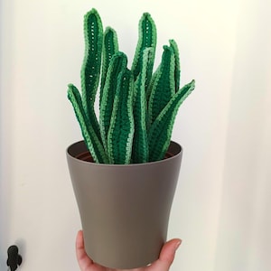 May include: A crocheted plant with green leaves and a white trim, in a grey pot. The plant is held by a hand against a white backdrop. The plant's leaves are a vibrant green colour. The pot is approximately 15 cm in height.