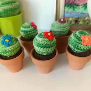 Cactus all’uncinetto fatto a mano | Diverse dimensioni, in acrilico misto cotone, vaso incluso | Pianta decorativa, artigianato sostenibile