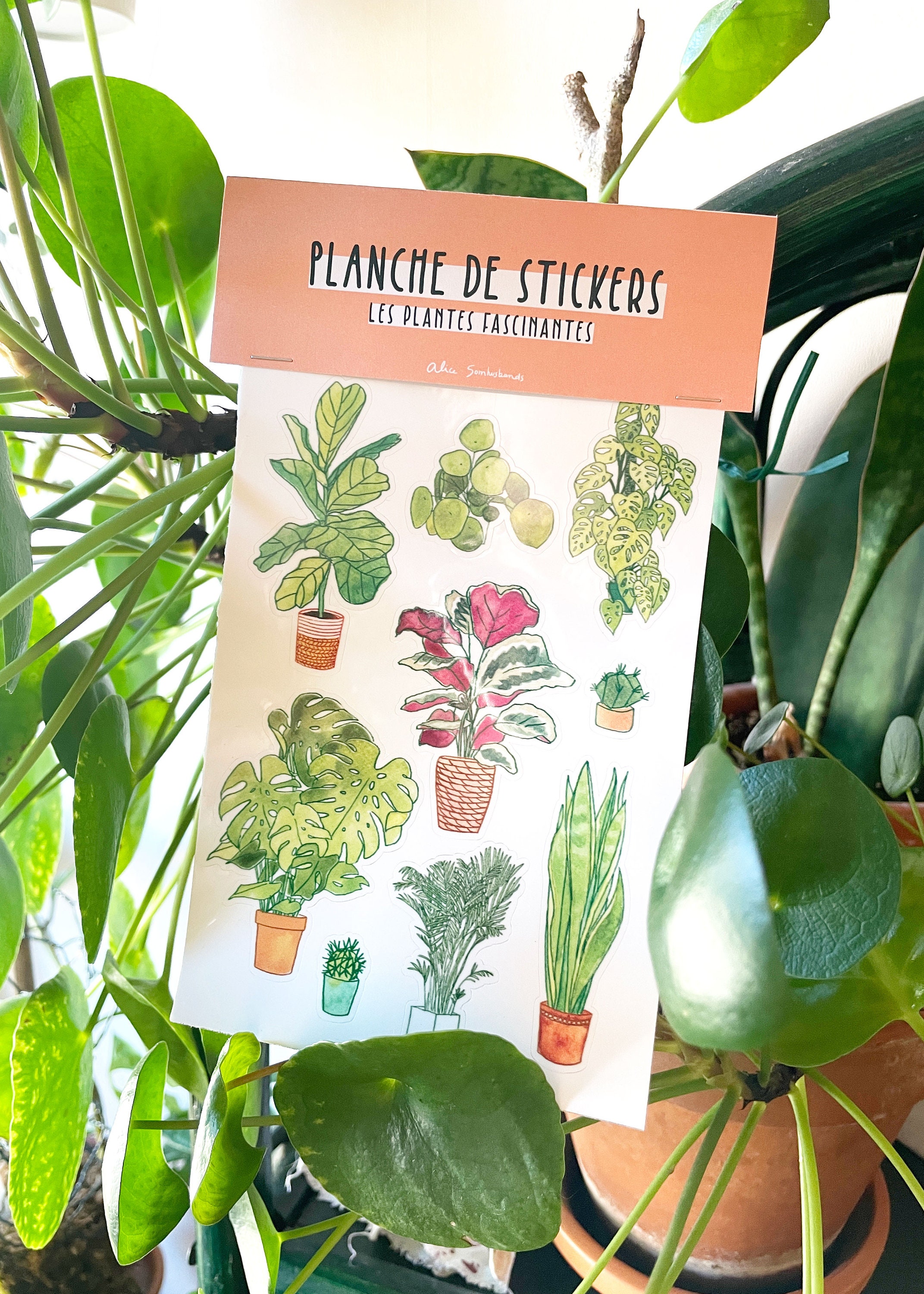 Folha de adesivos: plantas fascinantes