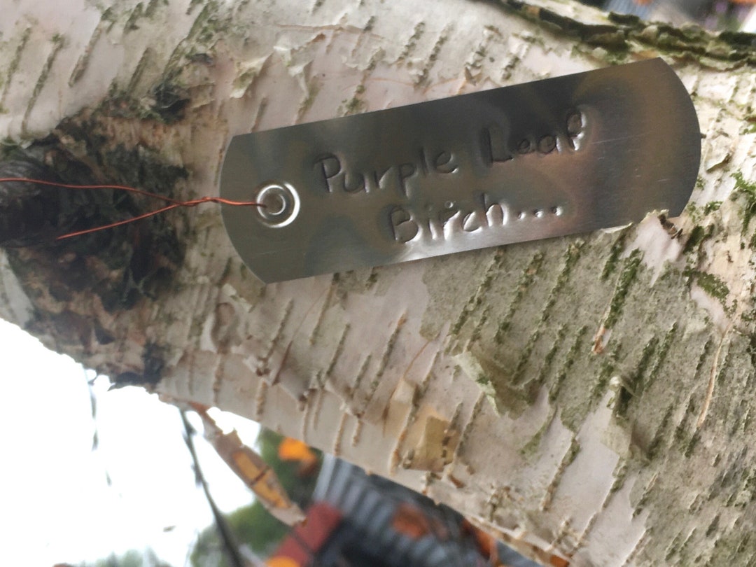 DIY Plant Tags, Forever Labels, Aluminium Plant Tags, Write on Tree ...