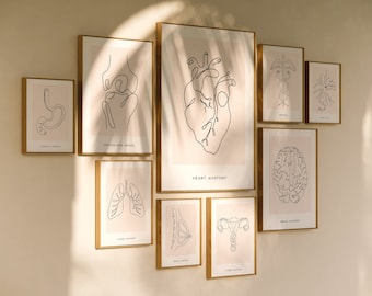 May include: A collection of framed anatomical art prints. Each print features a minimalist line drawing of a different organ, including the heart, brain, and lungs, set against a soft pink background. The frames are gold-toned.